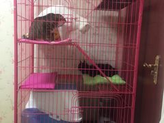 -美迦爱-牙专科·兔科·骨科诊疗中心(北苑店)