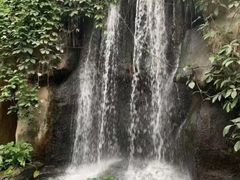 -南山植物园