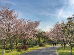 -尚贤河湿地