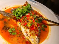 -坛宗剁椒鱼头(河西王府井店)