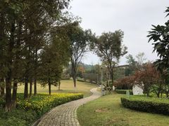 -铁山坪森林公园