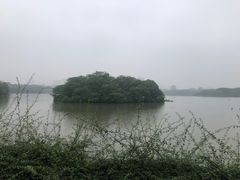 -海珠湖公园