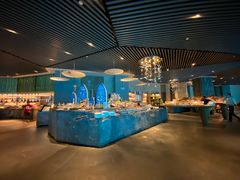 -海棠湾洲际-涛·海底餐厅·美人鱼·自助餐·海底隧道
