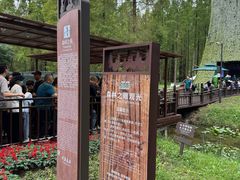 -黄海国家森林公园