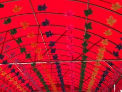 -上海大自然野生昆虫馆(东方明珠·爬宠昆虫探索中心)