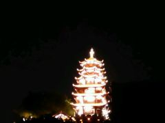 -胖娃古镇鸡杂(磁器口总店)