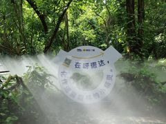 -呀诺达热带雨林