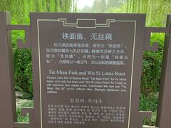 -包公祠