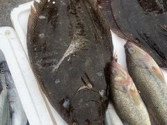 -东戴河风景区-止锚湾