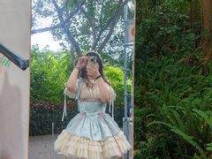 -深圳国际园林花卉博览园