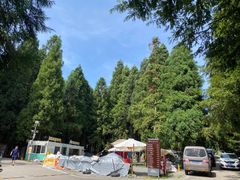 -武陵山森林公园