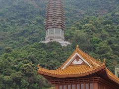 -深圳仙湖植物园