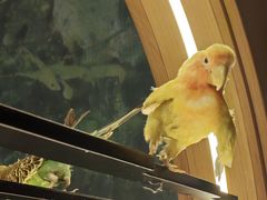 -小菜园新徽菜(青岛市南万象城店)