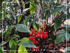 -南京市江宁方山