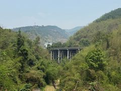 -西双版纳原始森林公园