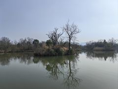 -西溪国家湿地公园