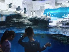 -华夏文旅海洋公园