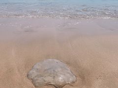 -大王村沙滩