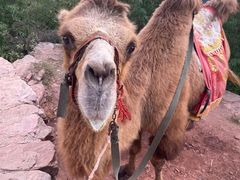 -苍岩山风景名胜区