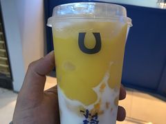 -春丽小马(济南恒隆广场店)