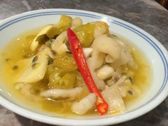 -禄婶鸡煲·打边炉