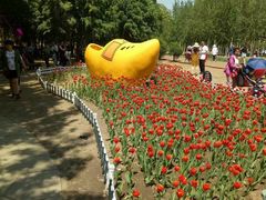 -长春公园(普阳街道)