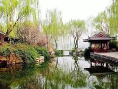 -鹊华居·地道鲁菜·海鲜·融合味(大明湖店)