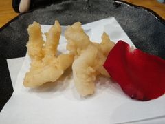 -渔藤(万柳东路店)