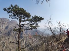 -大连天门山国家森林公园