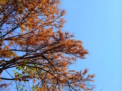 -天姥山景区