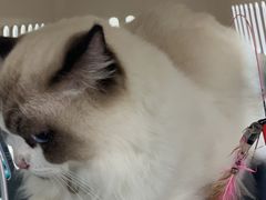 -爱诺耐芙动物医院(万博店)