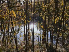 -西溪国家湿地公园