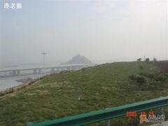 -洋山深水港