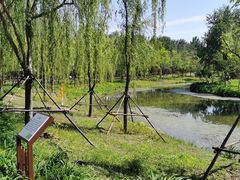 -东郊湿地公园