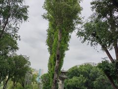 -西宁市人民公园(城西区)
