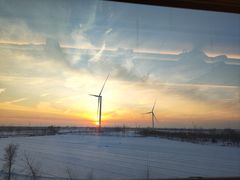 -沈大成(城隍庙店)