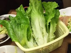 青菜仔-金海阁海鲜火锅