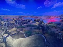 -重庆自然博物馆(新馆)