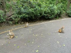 -黔灵山公园