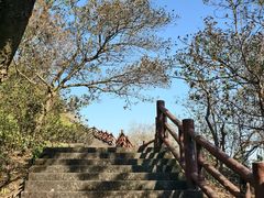 -广州莲花山旅游区