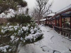 -中国唐苑