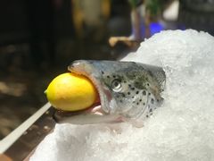 -加餐海鲜自助(宝龙一城店)