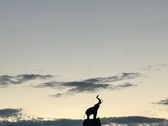 -清迈夜间动物园