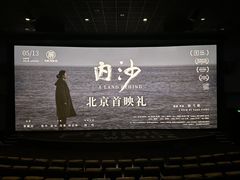 -万达影城(CBD万达广场IMAX店)