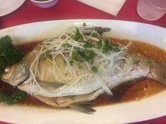 -田园小观园(武大店)