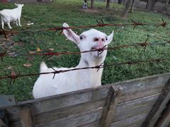 -杭州师范大学(下沙校区)