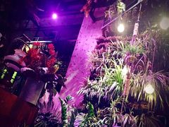 -范设计花园餐酒咖·中西餐·咖啡厅·酒馆