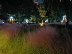 -映月湖公园