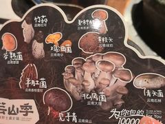 -芸山季·云南山珍菌火锅(人民广场来福士店)