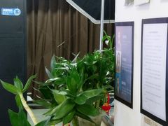 -红像馆·结婚登记·证件照·身份证回执照相点(苹果园店)